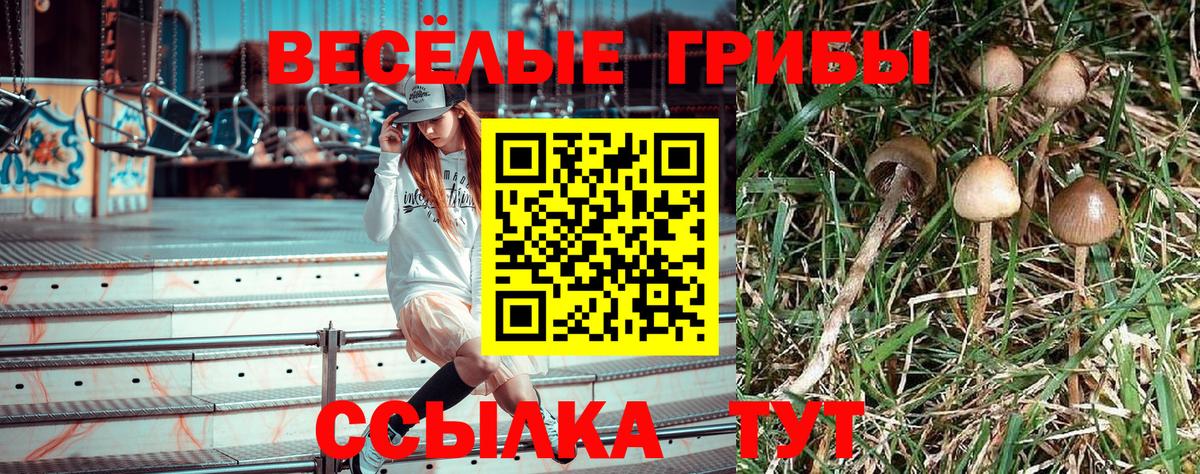 Галлюциногенные грибы мицелий  Галлюциногенные грибы Psilocybine cubensis  Тавда  Вход с VPN 