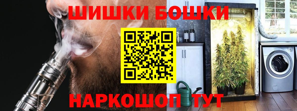Бошки Шишки конопля Тавда